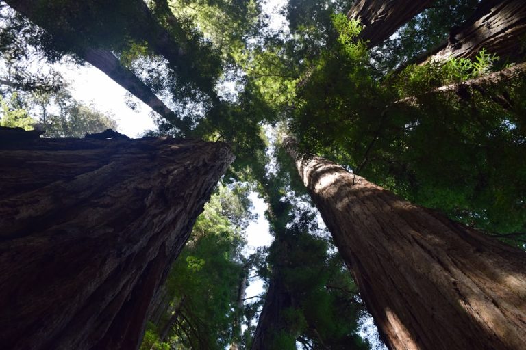 Embracing the Great Outdoors: A Journey of Self-Discovery